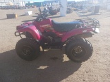 Prairie Kawasaki ATV
