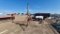 5 Horse Walker
