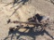 Horse Drawn  Equipment