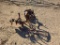 Horse Drawn  Plow