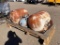 Pallet of 3 Propane Tanks