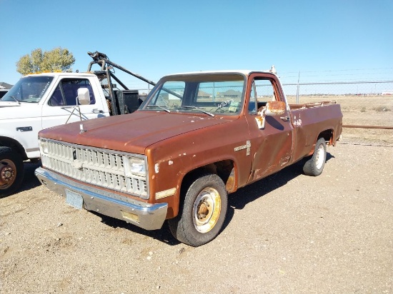 1982 Chevrolet Custom Deluxe Pickup Truck