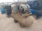 Century 15HP Air Compressor