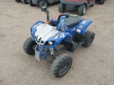 2022 TAOTAO D125 ATV