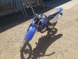 2002 Yamaha TT-R125L  Motorcycle