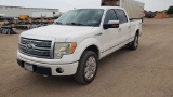 2010 Ford F150 FX4 Platinum Super Crew 4D XL