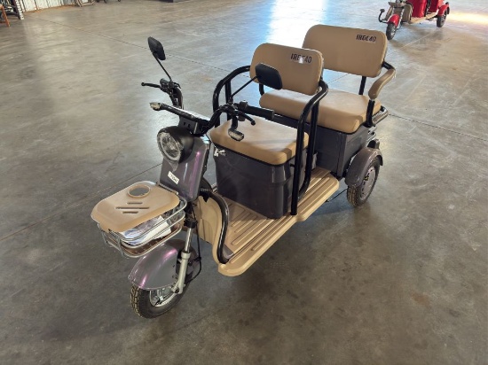 2025  IRGC40  Mini Golf Cart