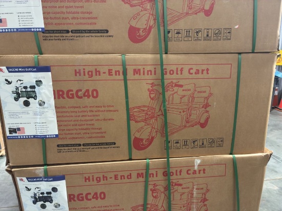 2025  IRGC40  Mini Golf Cart