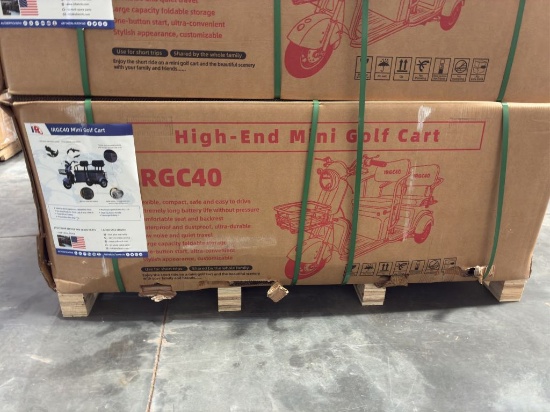 2025  IRGC40  Mini Golf Cart