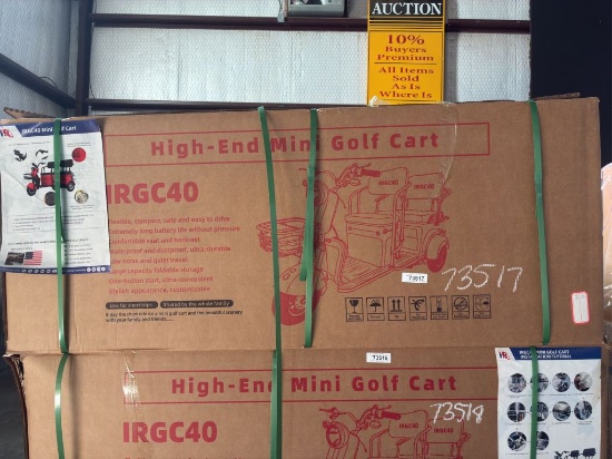 2025  IRGC40  Mini Golf Cart