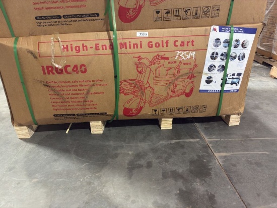 2025  IRGC40  Mini Golf Cart