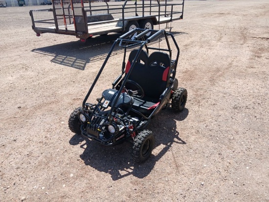 2013 Trailmaster Go Cart