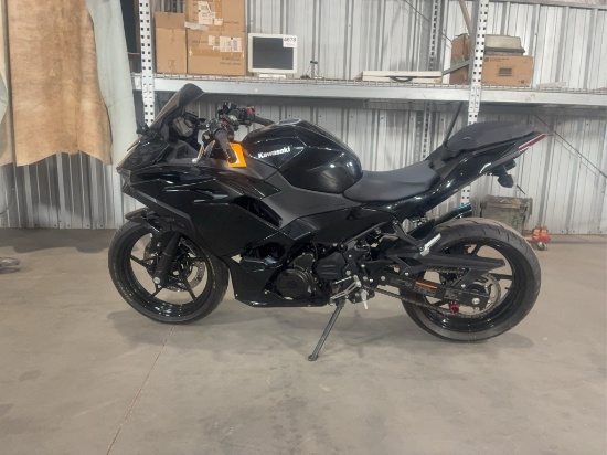 2024 Kawasaki Kawasaki Ninja 500 Motorcycle Motorcycle