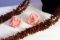 Set 2 - Vintage Estate Jewelry - Pair Pink Flower Clipbacks & Long Tropical