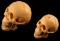 SMALL BONE CARVED HUMAN SKULL EFFIGY LOT OF TWO