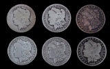 MORGAN SILVER DOLLAR LOT OF 6 CIRCULATED