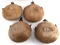 SPANISH AMERICAN WAR CANTEEN LOT OF 4