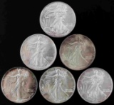 6 SILVER AMMERICAN EAGLE 1 OZT FINE .999 COINS