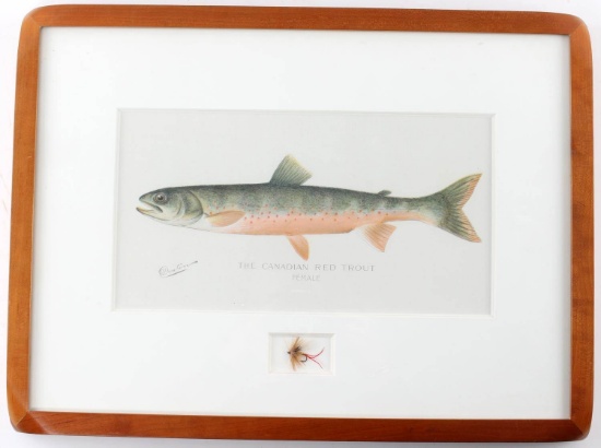 THE CANADIAN RED TROUT FISH PRINT BY DENTON