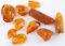 10 ASSORTED BALTIC AMBER PIECE LOT W MOSQUITO
