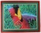 FRAMED LITHOGRAPH OF BRIGHTLY COLORED SEALIFE