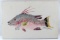 ACRYLIC ON CANVAS PAINTING OF HOG FISH SIGNED