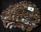 13 POUNDS OF UNSEARCHED WHEAT CENTS PENNIES