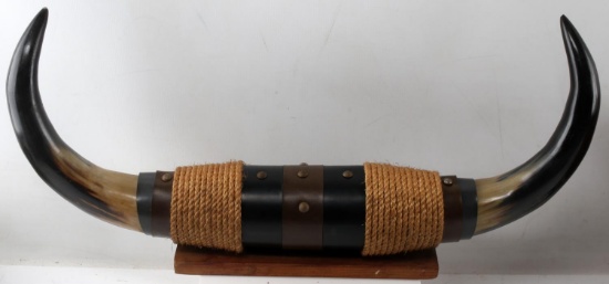 MOUNTED STEER COW HORNS 22 INCHES.
