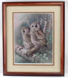 RAYMOND C WATSON COLLOTYPE TAWNY OWL PRINT
