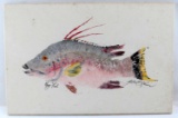 ACRYLIC ON CANVAS PAINTING OF HOG FISH SIGNED