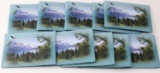 MINT US NATIONAL PARK QUARTER LOT OF 50