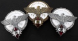 WWII GERMAN HITLER YOUTH BADGE LOT OF 3