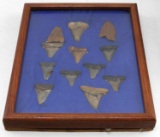 FRAME O10 FLINT RIVER FOUND MEGALODON SHARK TEETH