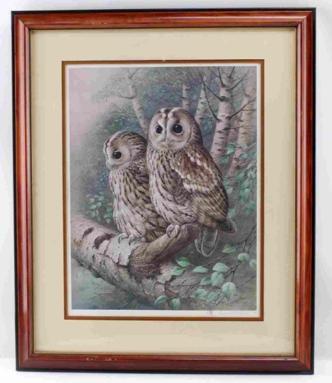 RAYMOND C WATSON COLLOTYPE TAWNY OWL PRINT