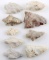 LOT OF 9 ARCHAIC ARROWHEAD POINTS MOST STEMMED