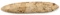 ARCHAIC 14 INCH LANCEOLATE ARROWHEAD