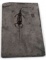 CHAMPSOSAURUS DINOSAUR FOSSIL 7.5 INCHES
