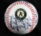 MLB OAKLAND A'S FASCIMILE SIGNED BASEBALL