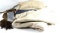 MIXED MILITARY LOT US NAVY BLANKET CAP & SASH