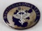 WWII GERMAN THIRD REICH 1938 NSFK GLIDER BADGE
