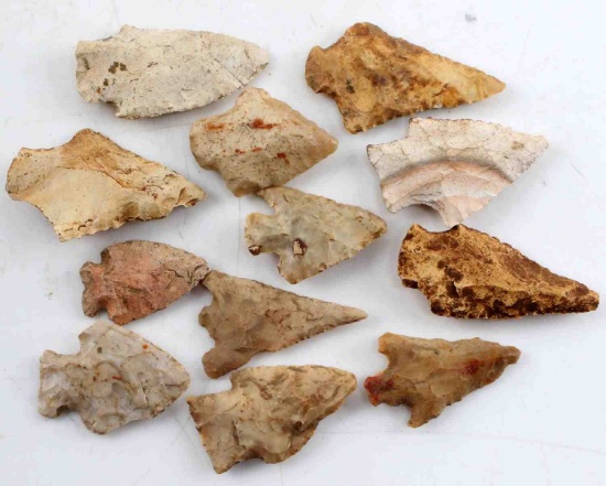 LOT OF 12 ARROWHEADS SURFACE FINDS CHIPOLA RIVER