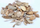 LOT OF SURFACE FIND ARROWHEAD POINTS FROM FLORIDA