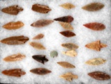 RIKER MOUNT OF FIELD FOUND BIRD POINT ARROWHEADS