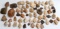 JACKSON CTY FLORIDA SURFACE COLLECTED ARROWHEADS