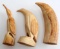 3 ANTIQUE ORCA WHALE TOOTH SCRIMSHAW LOT