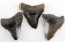 LOT OF 3 SMALLER FOSSILIZED MEGALODON SHARKS TOOTH