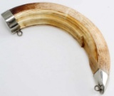 LARGE SIZE HIPPO TUSK CAPPED FOR HANGING