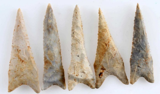 LOT OF 5 ILLINOIS FOUND DALTON POINTS ARROWHEADS