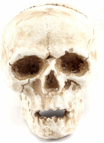 PLASTER ENDOCAST OF HUMAN SKULL WITH MEDIAL CRACK