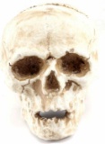 PLASTER ENDOCAST OF HUMAN SKULL WITH MEDIAL CRACK